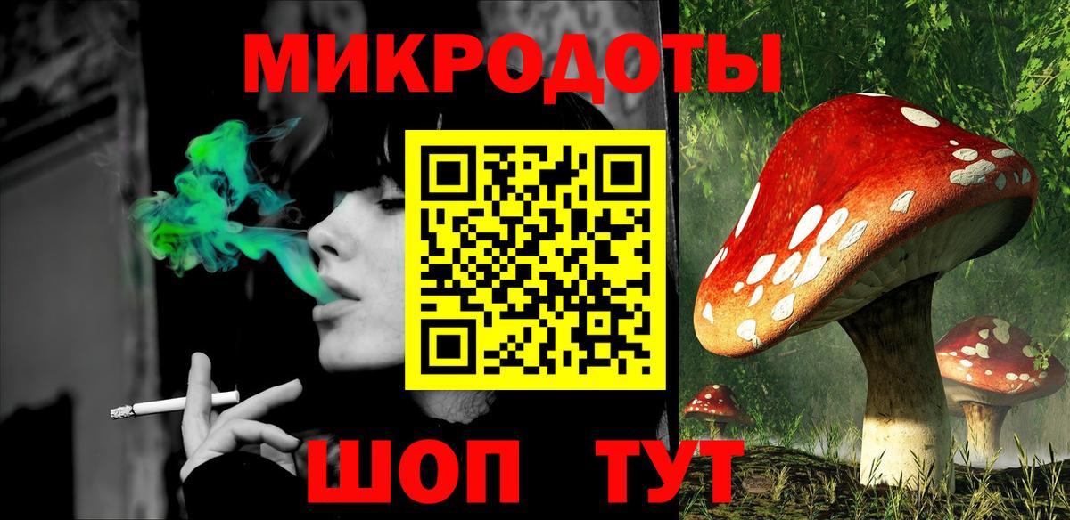 Галлюциногенные грибы прущие грибы Горно-Алтайск