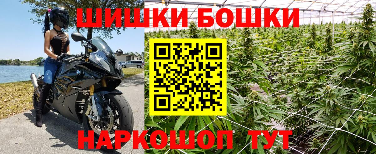 Бошки Шишки планчик Горно-Алтайск